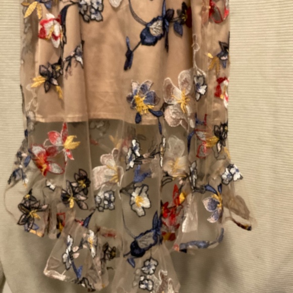 A.B.S Collection Pale Blush Floral Embroidered Midi Mesh Dress - Picture 4 of 6